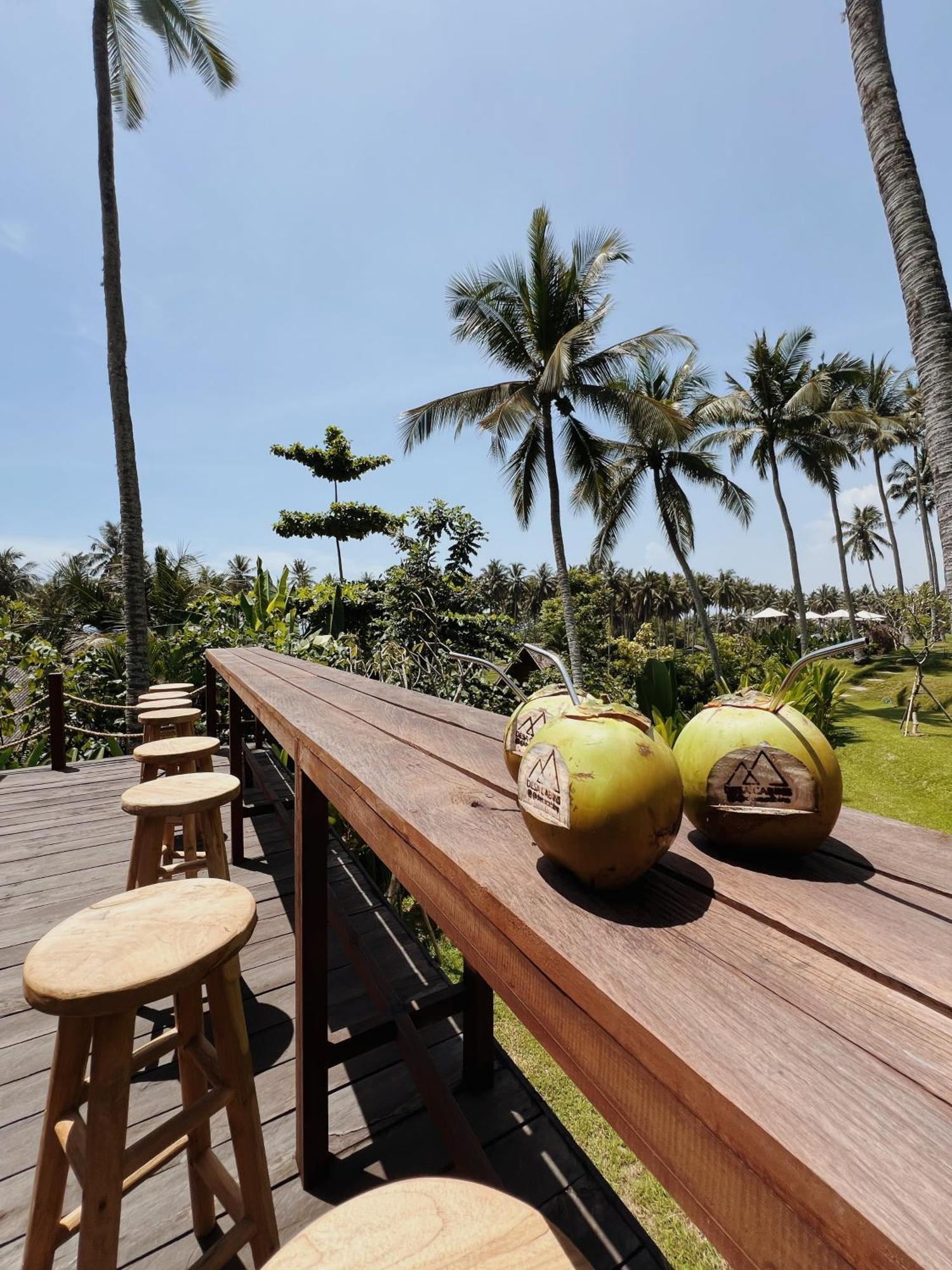 Desa Cabins Balian Exterior photo